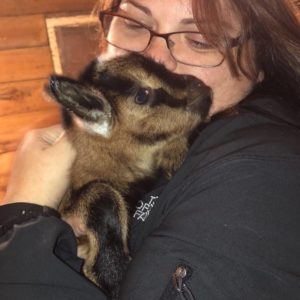 Team member Cassie holding a baby goat