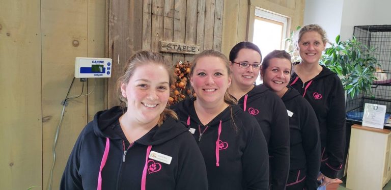 the bradford staff